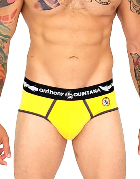 Anthony Quintana Men's Hybrid 2-in-1 Briefs & Swimwear Briefs – Premium 3-Pack Enhancing Pouch AQ4768